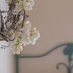 Quinta Vale Salgueiro Seia