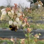 Quinta Vale Salgueiro * Seia