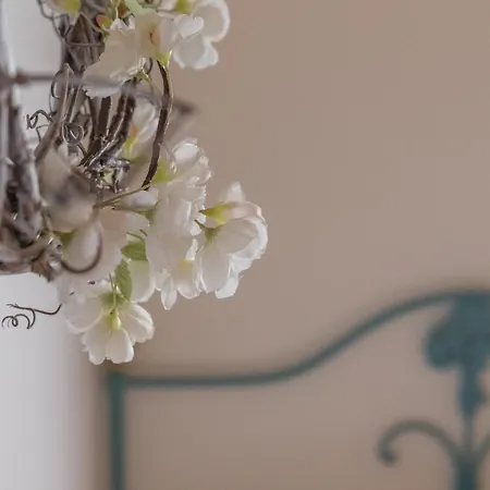 Quinta Vale Salgueiro Seia