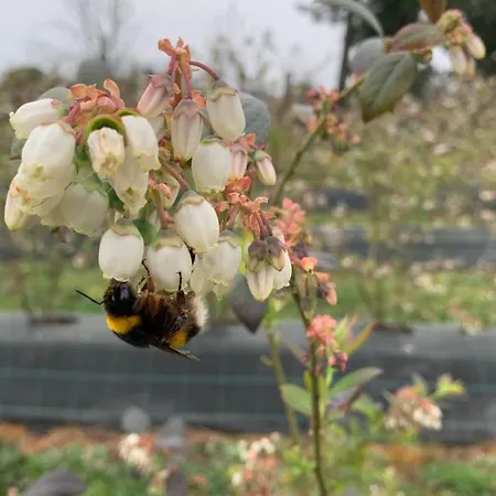Quinta Vale Salgueiro * Seia