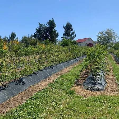 Apartmán Quinta Vale Salgueiro Seia