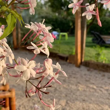 Apartmán Quinta Vale Salgueiro Seia