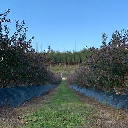 Lejlighed Quinta Vale Salgueiro Seia