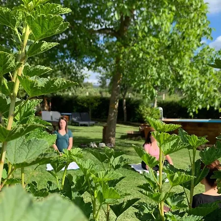 Quinta Vale Salgueiro * Seia