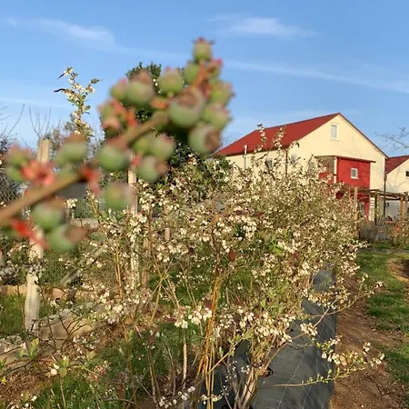 Quinta Vale Salgueiro Seia