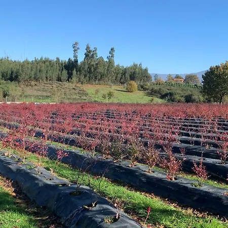 Quinta Vale Salgueiro * Seia