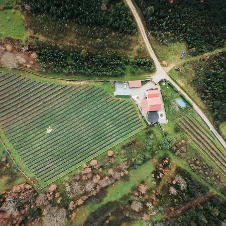 Quinta Vale Salgueiro * סייה