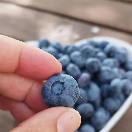 Quinta Vale Salgueiro