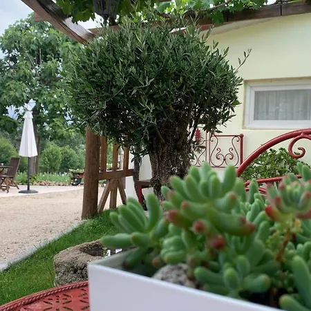 Apartman Quinta Vale Salgueiro