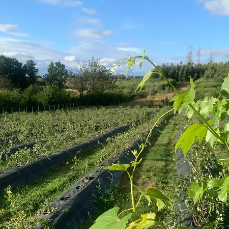 Quinta Vale Salgueiro Apartamento