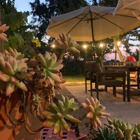 Quinta Vale Salgueiro * Seia