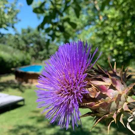 Quinta Vale Salgueiro Lejlighed