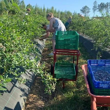 Quinta Vale Salgueiro Apartmán *