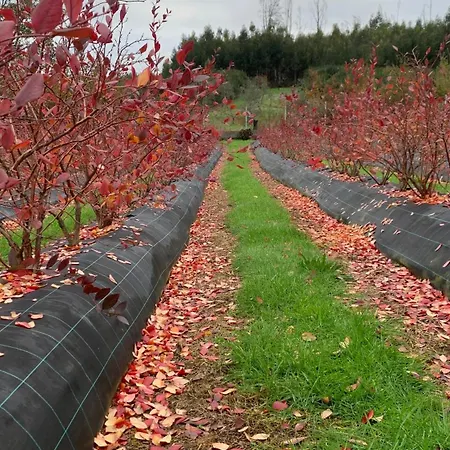 Apartamento Quinta Vale Salgueiro *