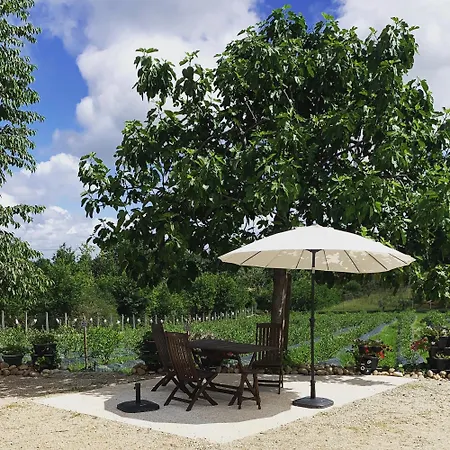 Quinta Vale Salgueiro