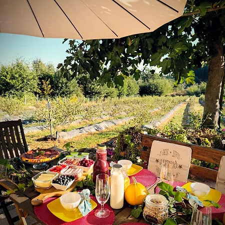 Quinta Vale Salgueiro *