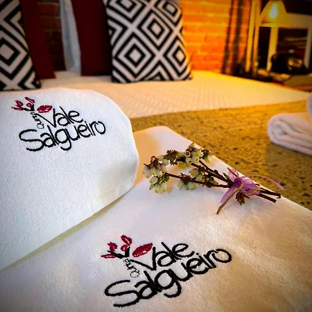 Quinta Vale Salgueiro Lejlighed