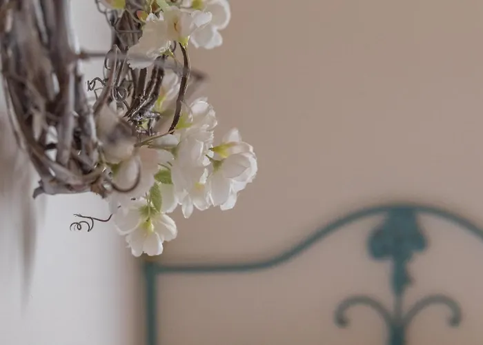 Quinta Vale Salgueiro Seia