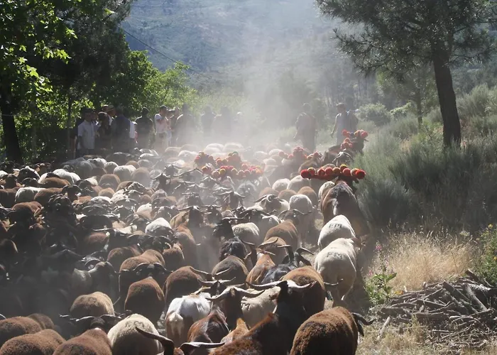 Quinta Vale Salgueiro *