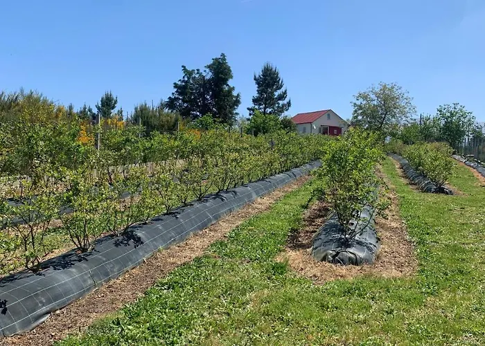 דירה Quinta Vale Salgueiro סייה