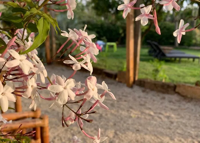 Apartament Quinta Vale Salgueiro Seia