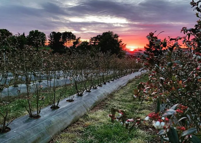 Apartamento Quinta Vale Salgueiro *