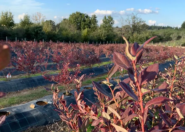 Apartamento Quinta Vale Salgueiro *