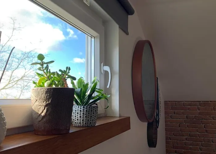 Apartamento Quinta Vale Salgueiro *