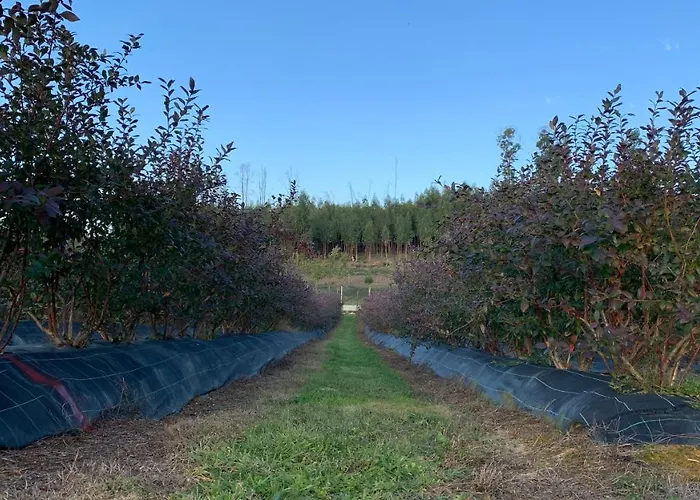 Apartamento Quinta Vale Salgueiro Seia