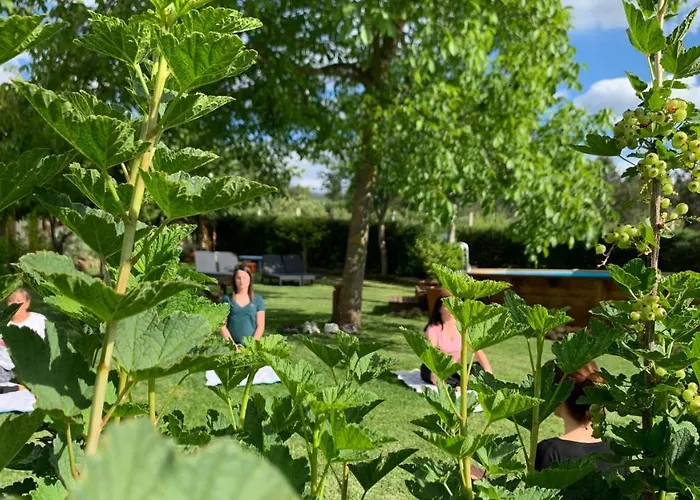 Quinta Vale Salgueiro * Seia