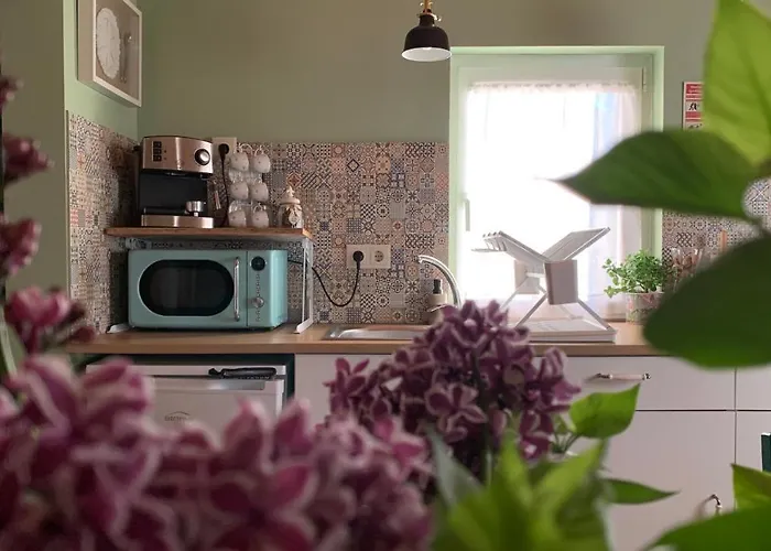 Quinta Vale Salgueiro