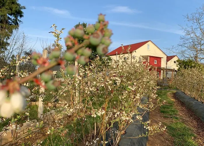 Quinta Vale Salgueiro Seia