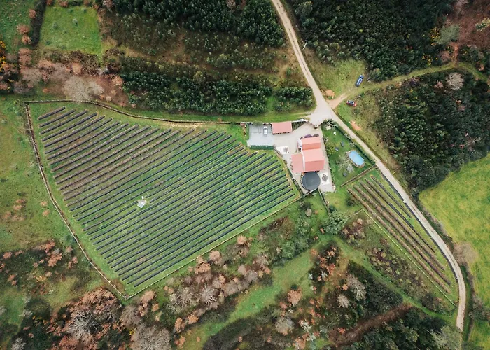 Quinta Vale Salgueiro * Seia