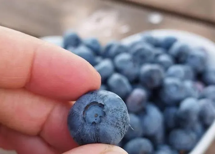 Quinta Vale Salgueiro