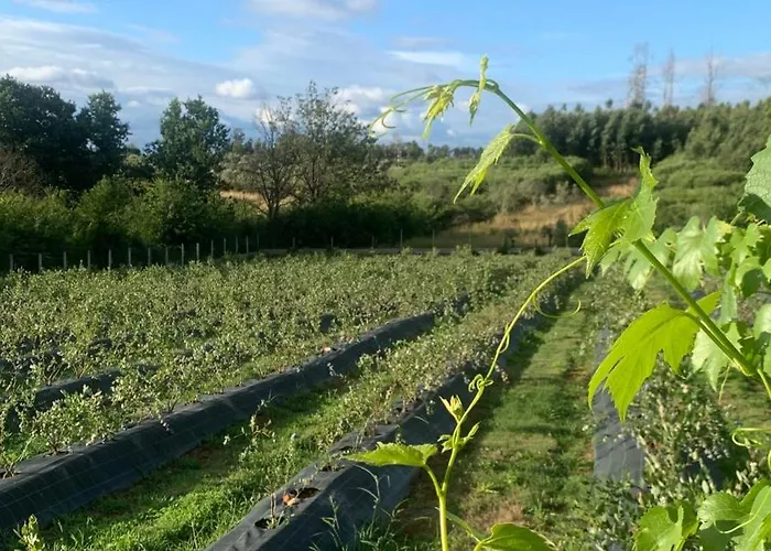 Quinta Vale Salgueiro Apartamento