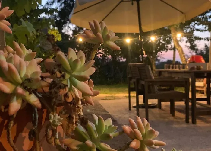 Quinta Vale Salgueiro * Seia