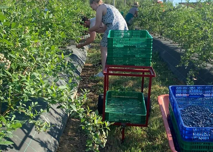 Quinta Vale Salgueiro דירה *