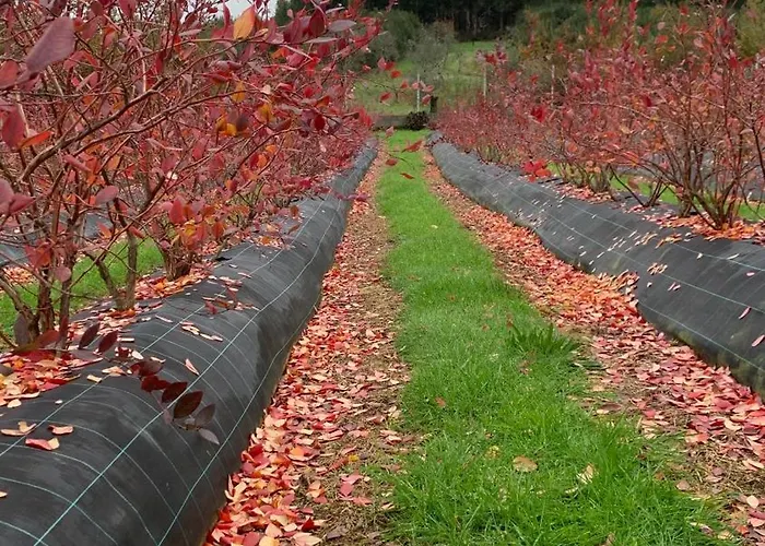 דירה Quinta Vale Salgueiro *