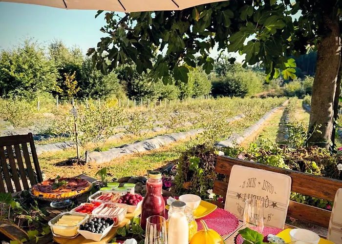 Quinta Vale Salgueiro *